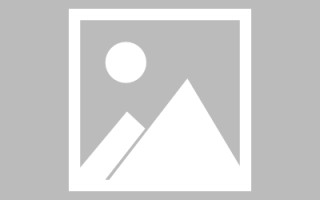 新野网页设计英文默认字体（网页设置英文转换中文）